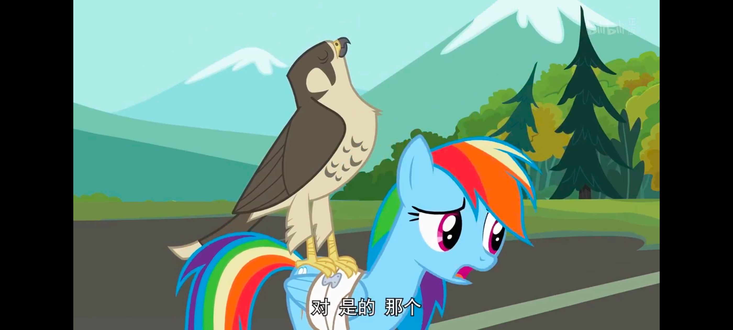 小马宝莉,彩虹小马,我的小马驹,动画,动漫,番剧,二次元,ACG