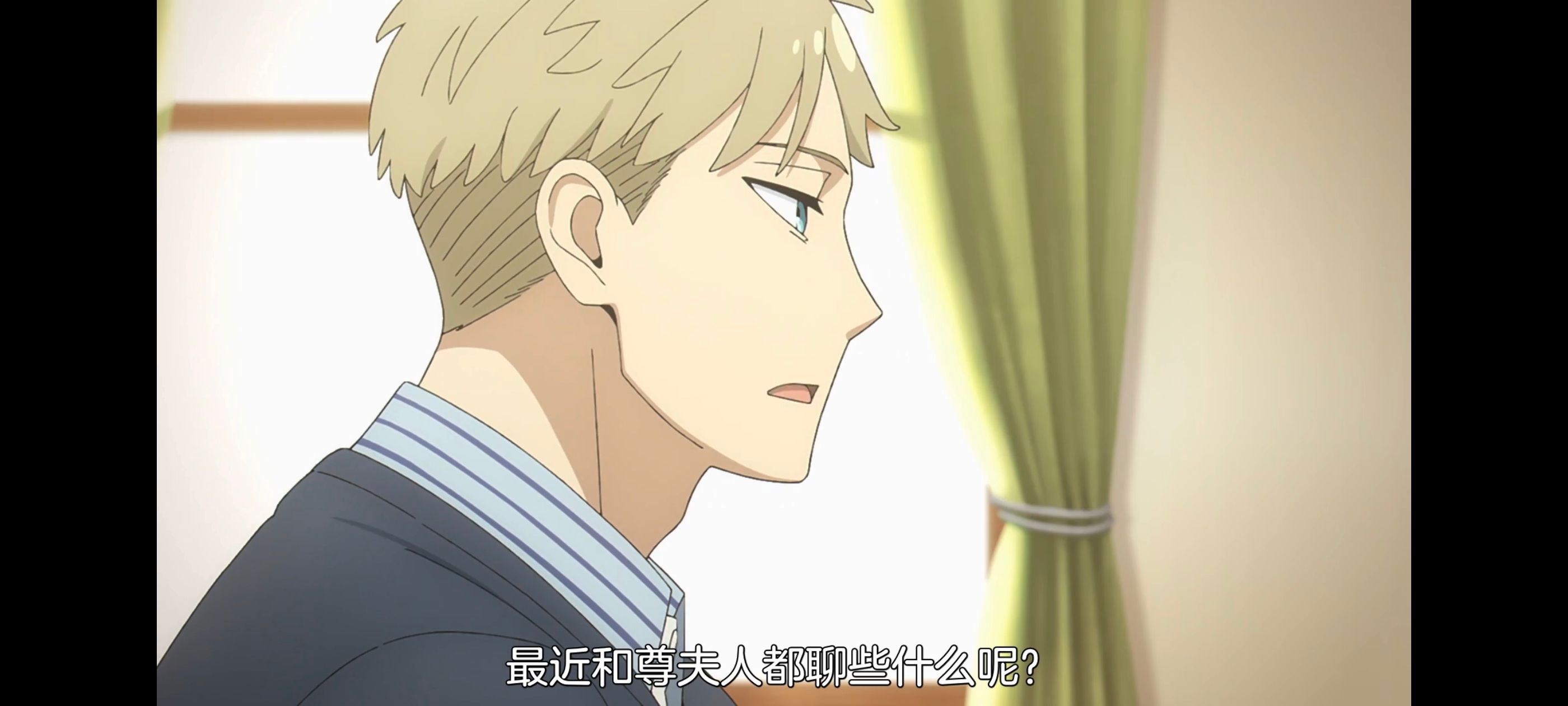 间谍过家家,SPYFAMILY,动画,动漫,番剧