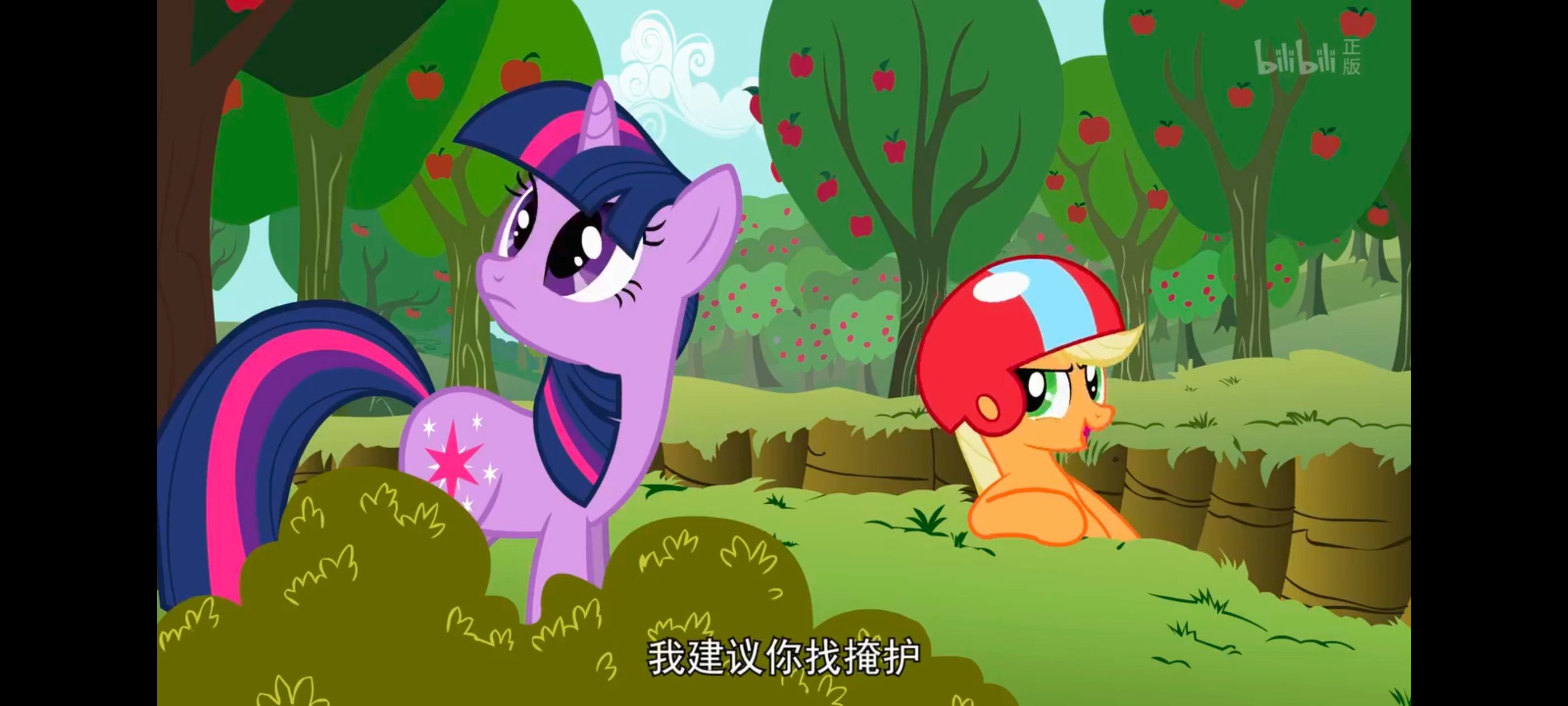 小马宝莉,小马宝莉友谊魔法,彩虹小马,我的小马驹,动画,动漫,番剧,ACG