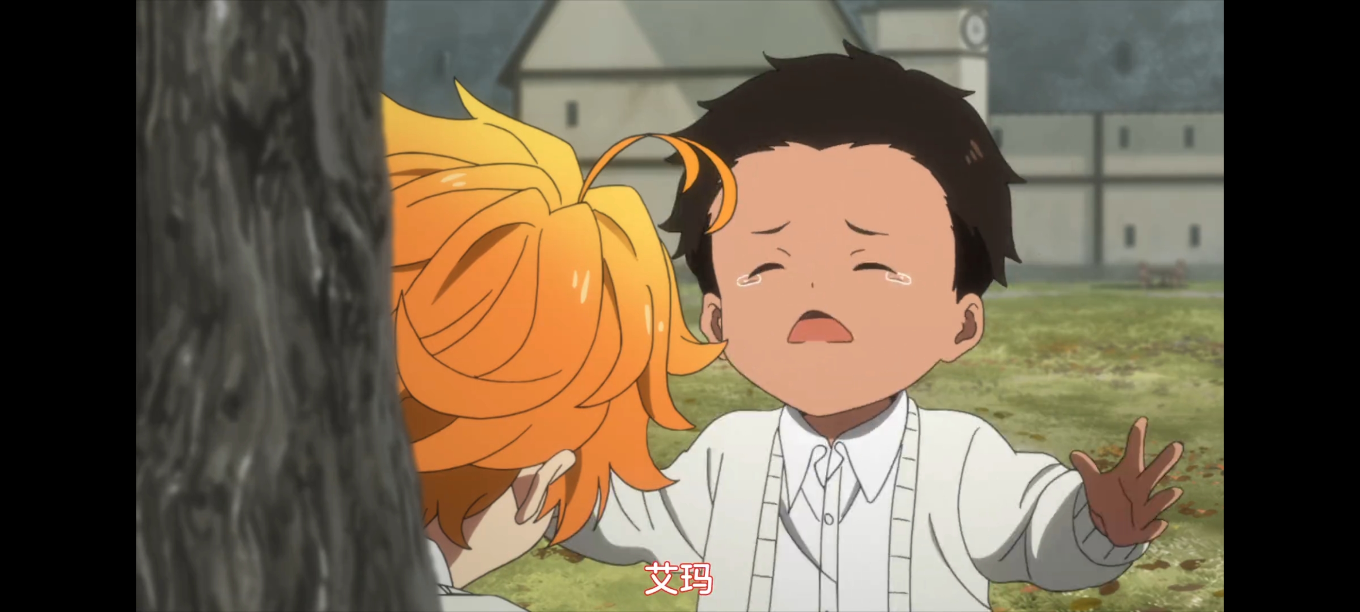 约定的梦幻岛,动画,动漫,番剧,二次元,ACG