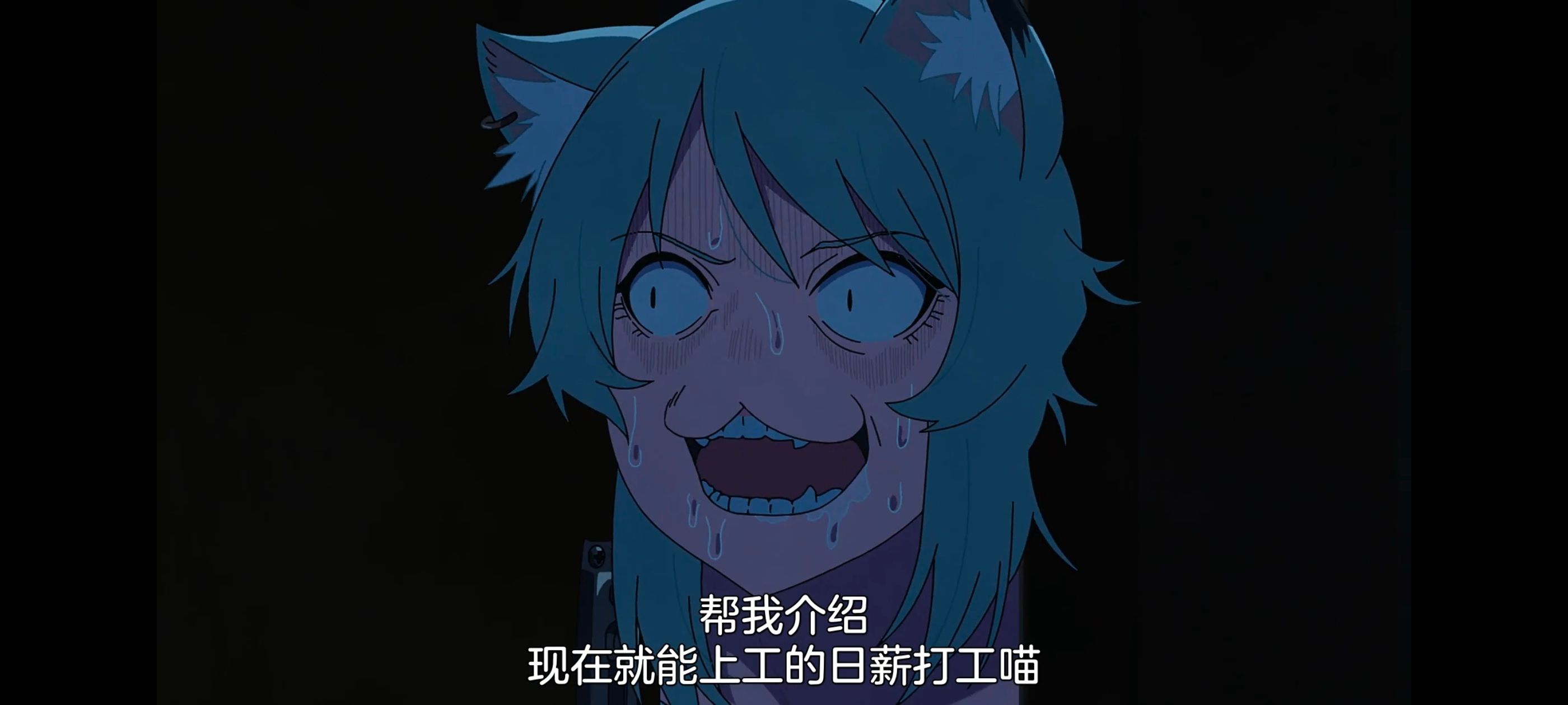 尼古喵喵,雅尼猫,动画,动漫,番剧,二次元,日漫,ACG