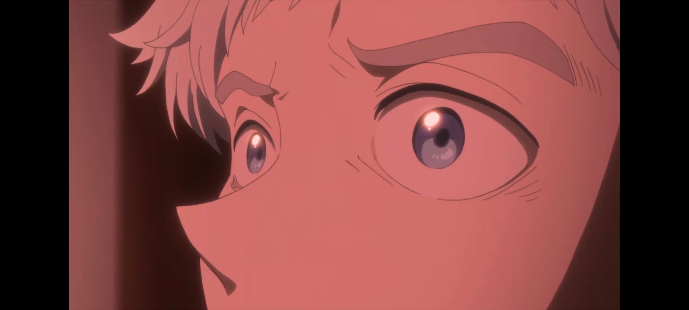 约定的梦幻岛,动画,动漫,番剧,二次元,ACG