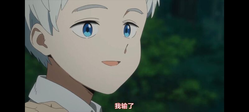 约定的梦幻岛,动画,动漫,番剧,ACG