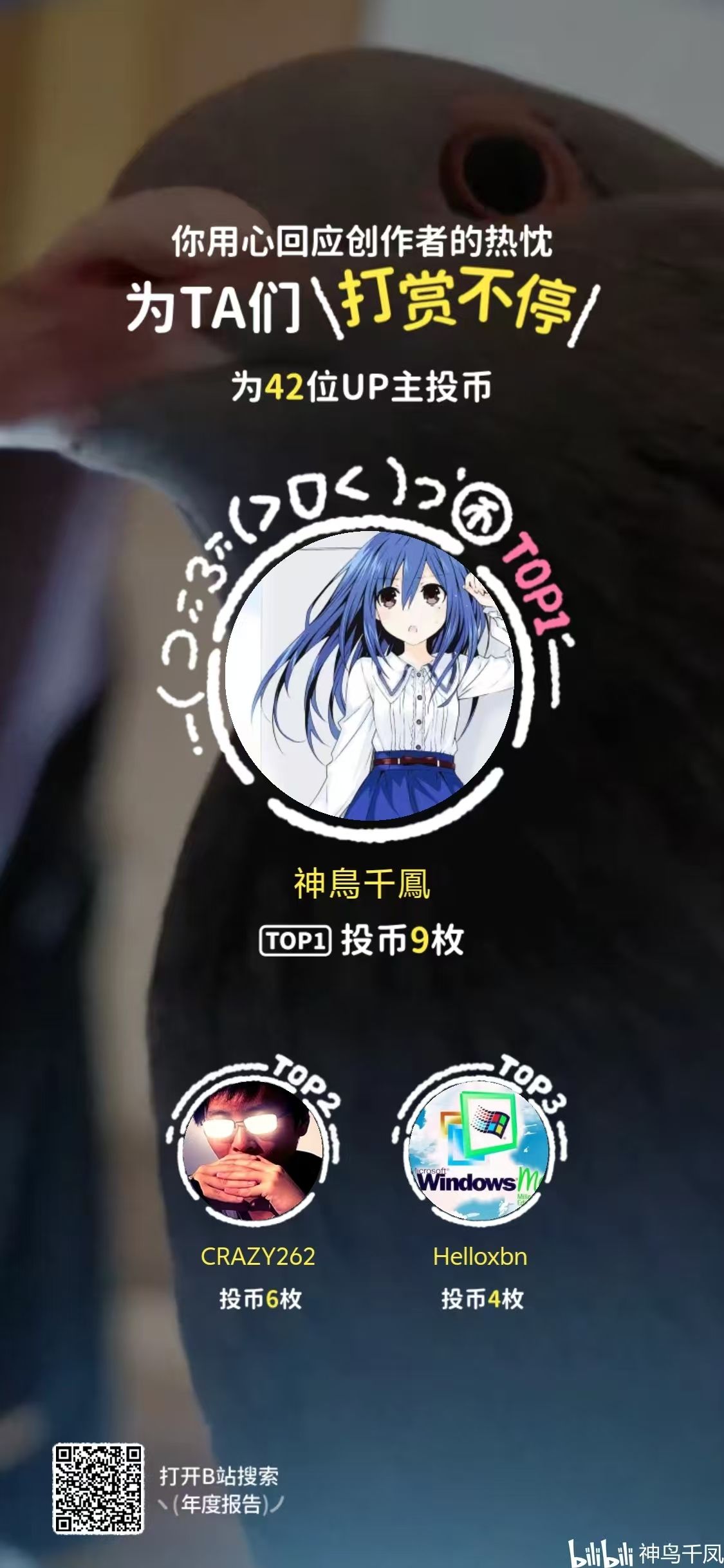 哔哩哔哩,2024,年度报告