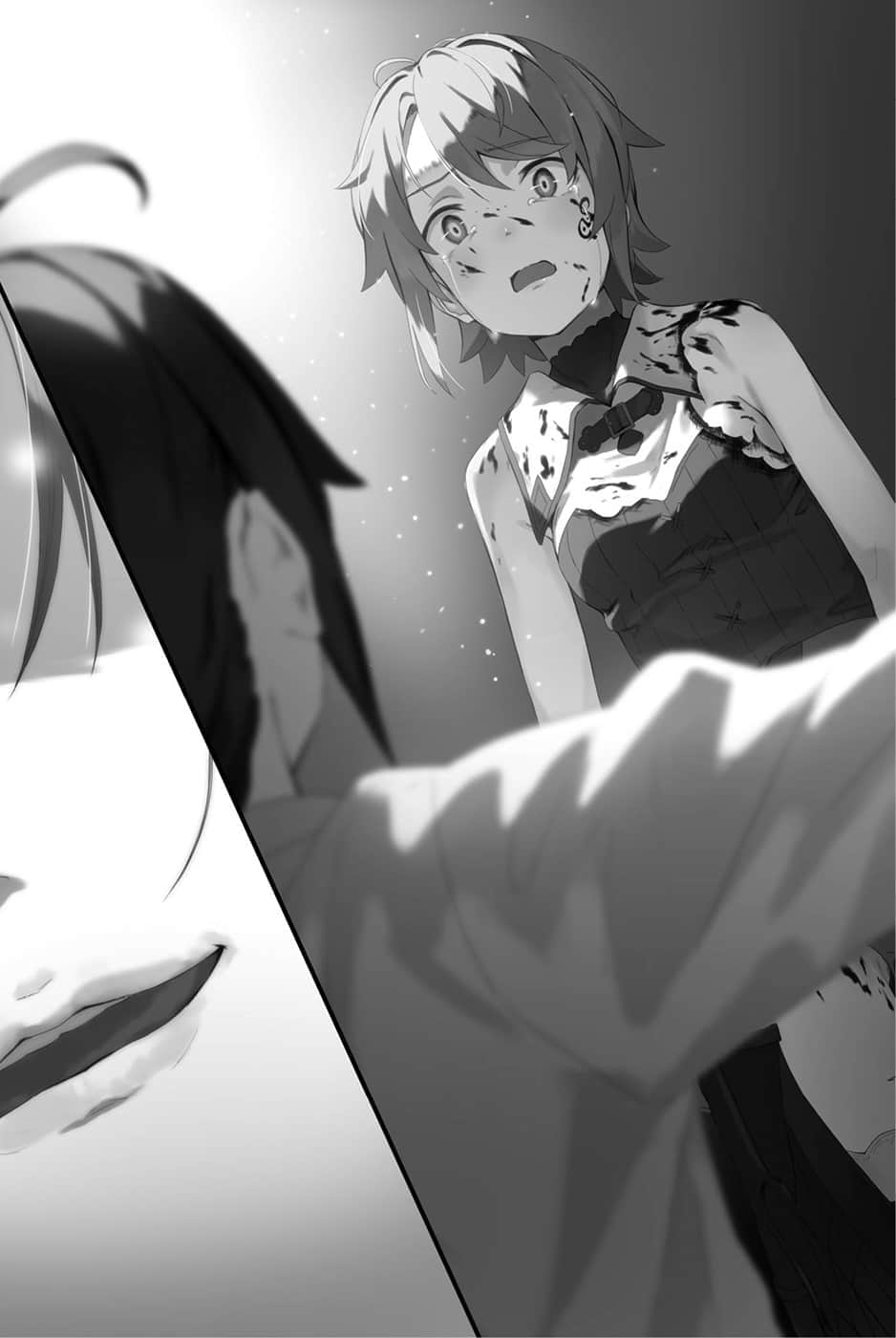 凭你也想讨伐魔王,轻小说,插画,ACGN