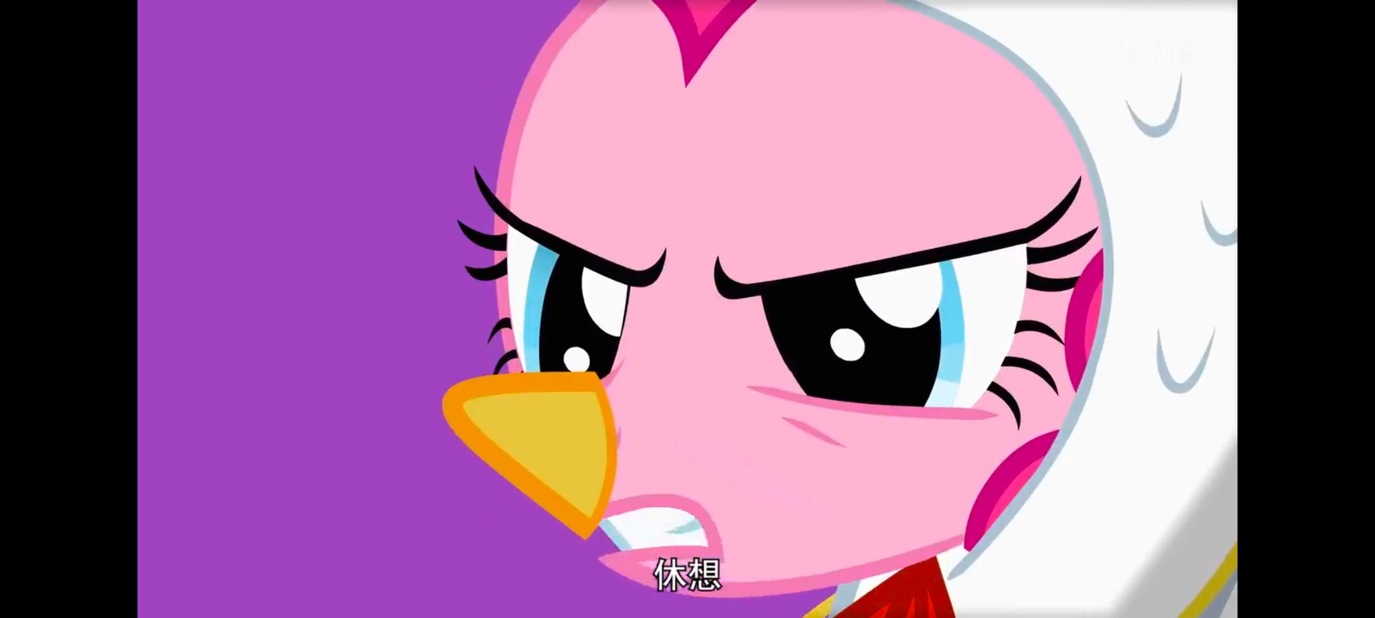 小马宝莉,小马宝莉友谊魔法,彩虹小马,我的小马驹,动漫,动画,番剧,ACG