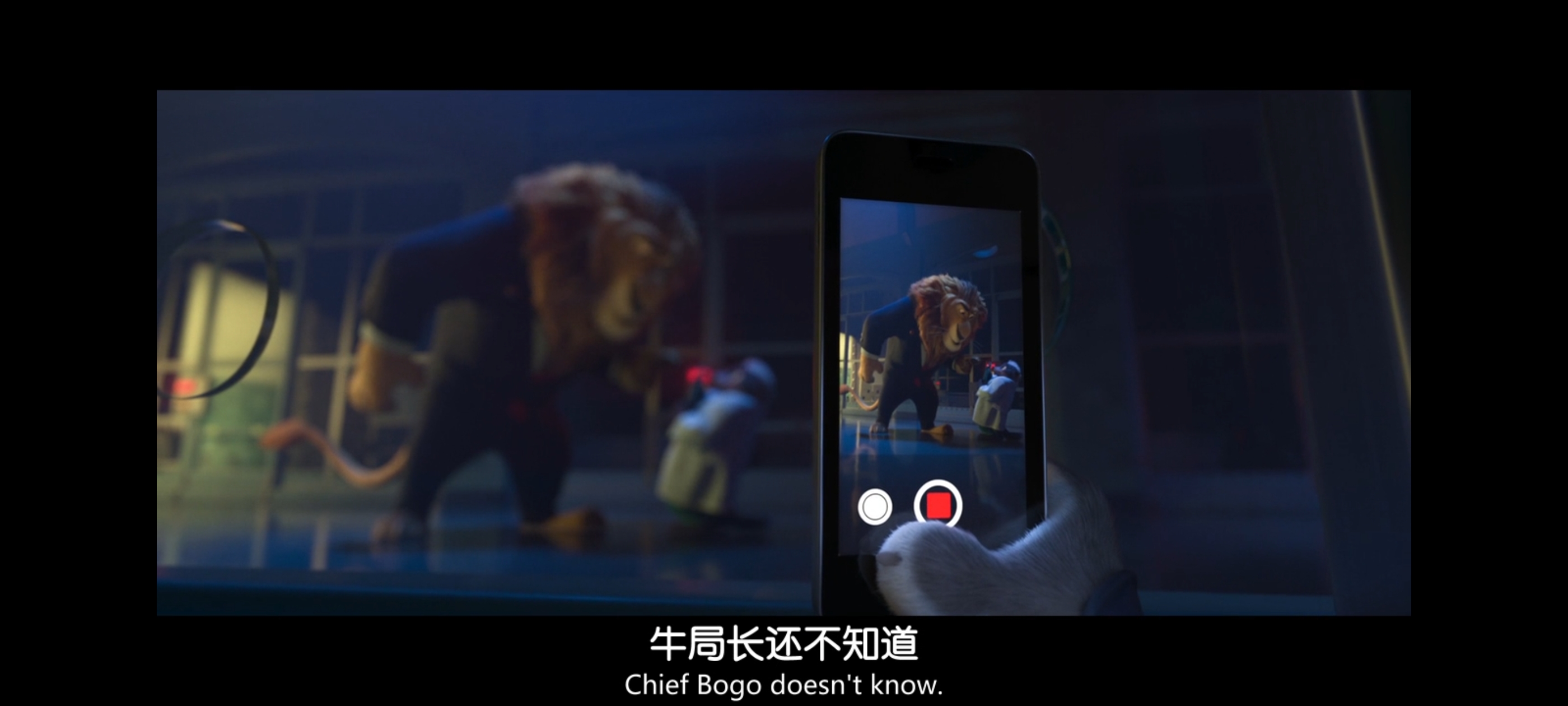 疯狂动物城,动画电影,动漫,动画,电影,二次元,ACG