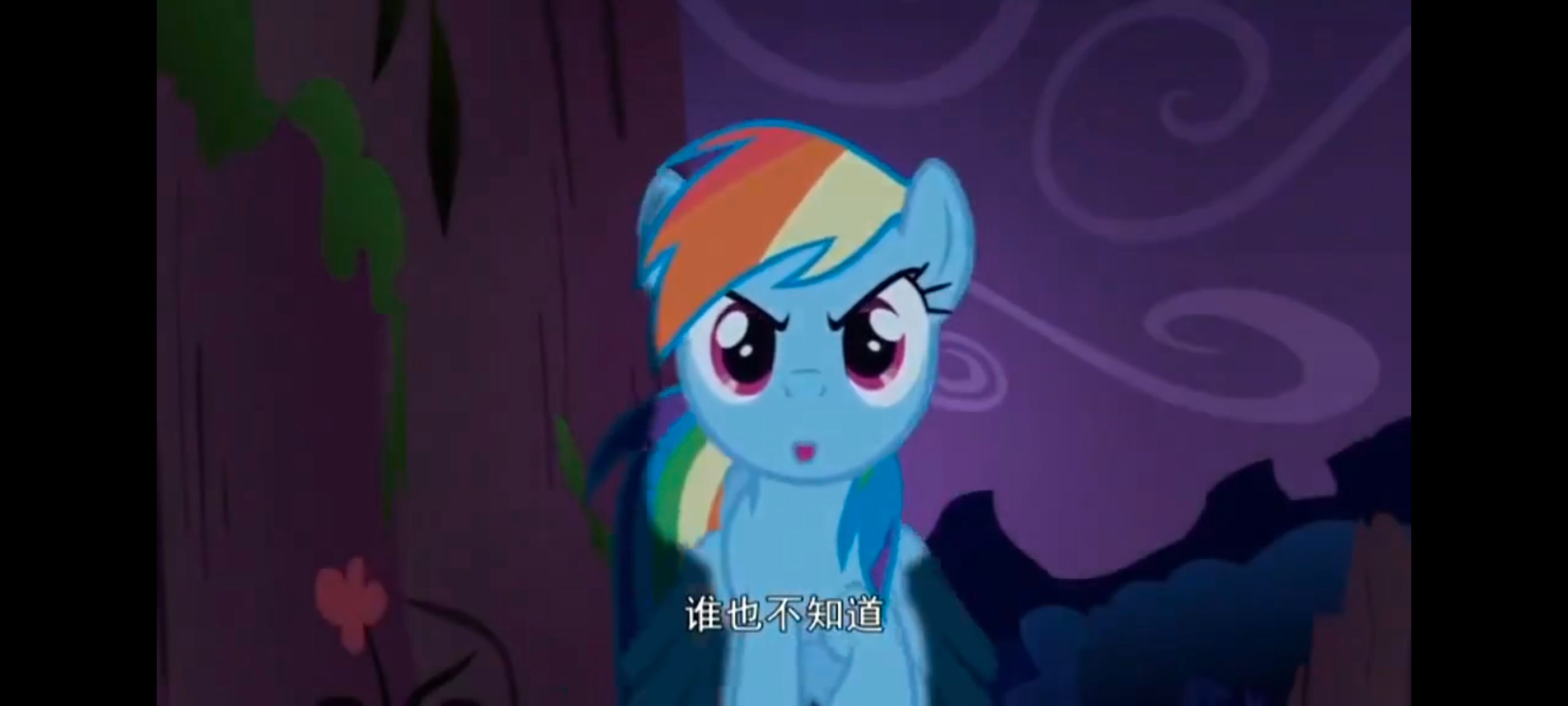/static/dfe52c5d709764adbbb5542d7066b86007d835e263ff3e57edff13b88cf9ad5d.jpg