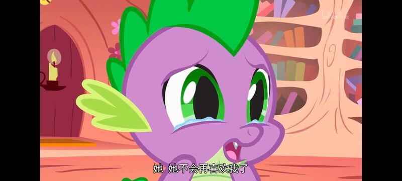 小马宝莉,彩虹小马,我的小马驹,动画,动漫,番剧,ACG,小马宝莉友谊魔法