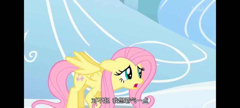 小马宝莉,小马宝莉友谊魔法,彩虹小马,我的小马驹,动画,动漫,番剧,ACG