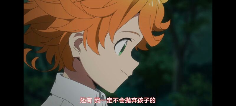 约定的梦幻岛,动画,动漫,番剧,ACG