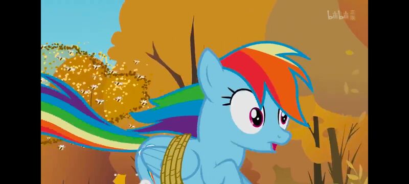 小马宝莉,小马宝莉友谊魔法,彩虹小马,我的小马驹,动画,动漫,番剧,ACG