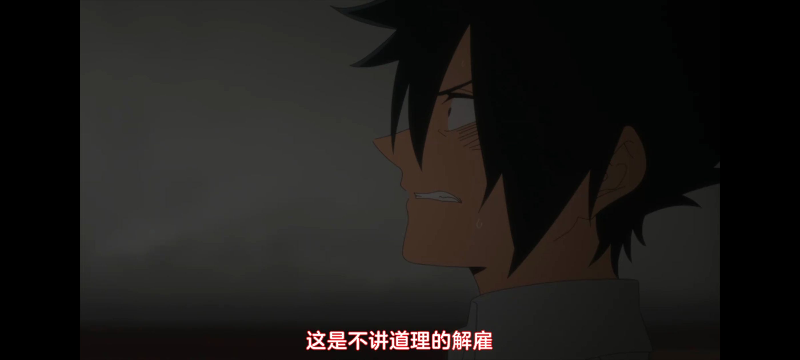 约定的梦幻岛,动画,动漫,番剧,二次元,ACG