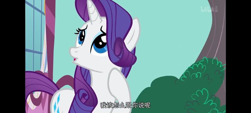 小马宝莉,小马宝莉友谊魔法,彩虹小马,我的小马驹,动画,动漫,番剧,ACG