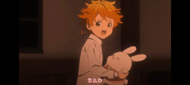 约定的梦幻岛,动画,动漫,番剧,ACG