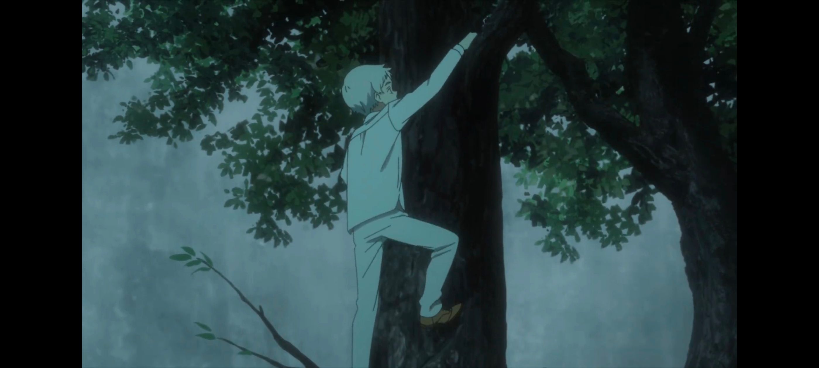 约定的梦幻岛,动画,动漫,番剧,ACG