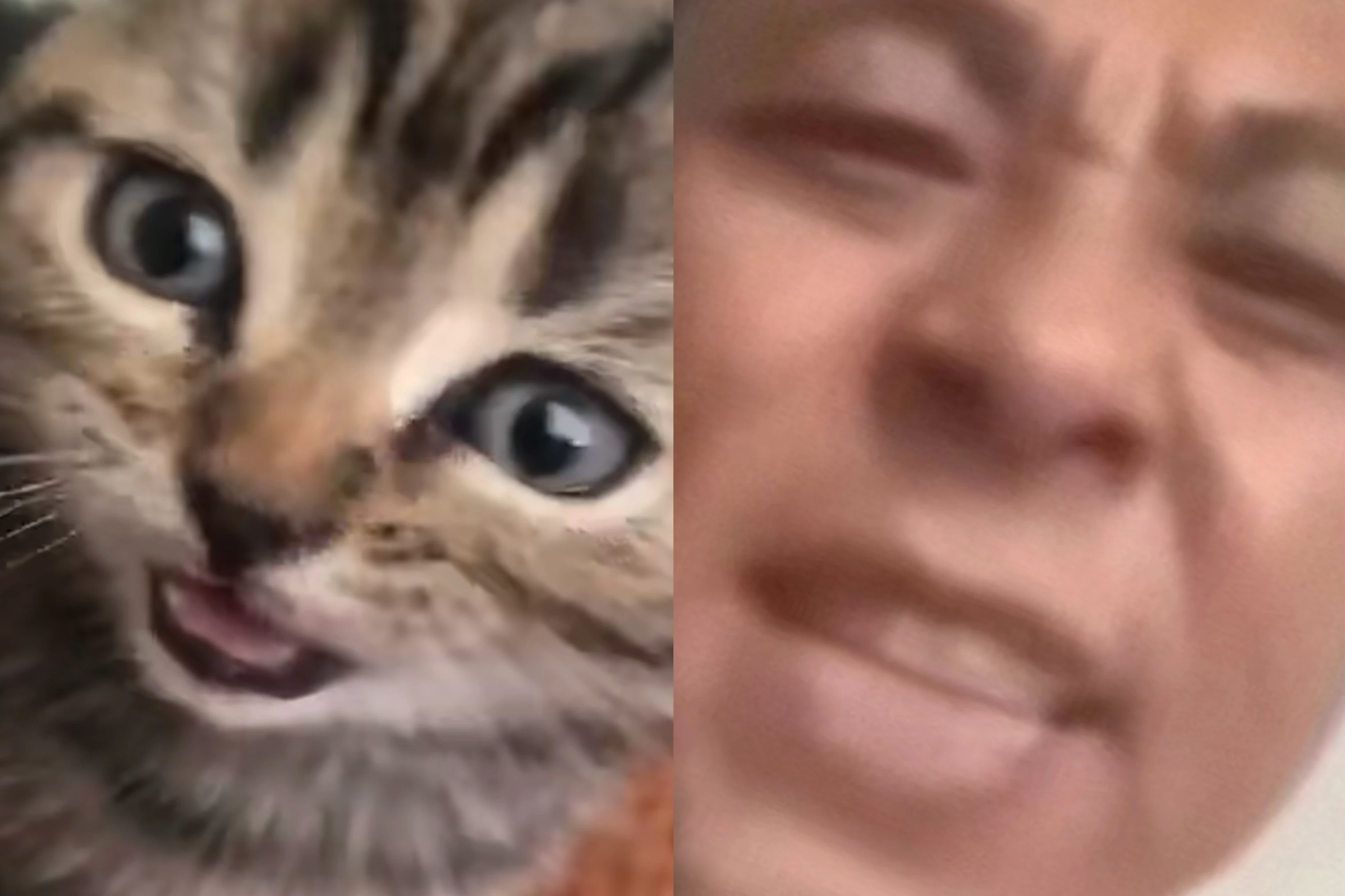 /static/e12e6b177c480293e81b994028f5df2148b8494b4c023711851d52617bcb2dbf.png