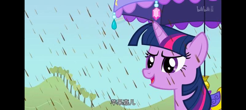 小马宝莉,小马宝莉友谊魔法,彩虹小马,我的小马驹,动画,动漫,番剧,ACG