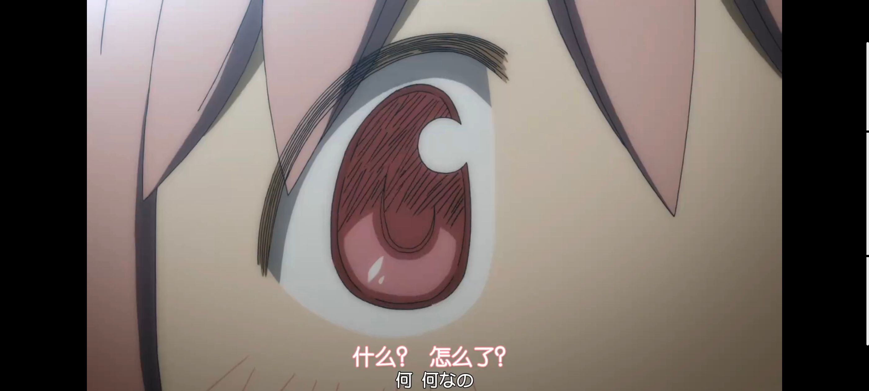 魔法少女小圆,魔法少女,动画,动漫,番剧,ACG