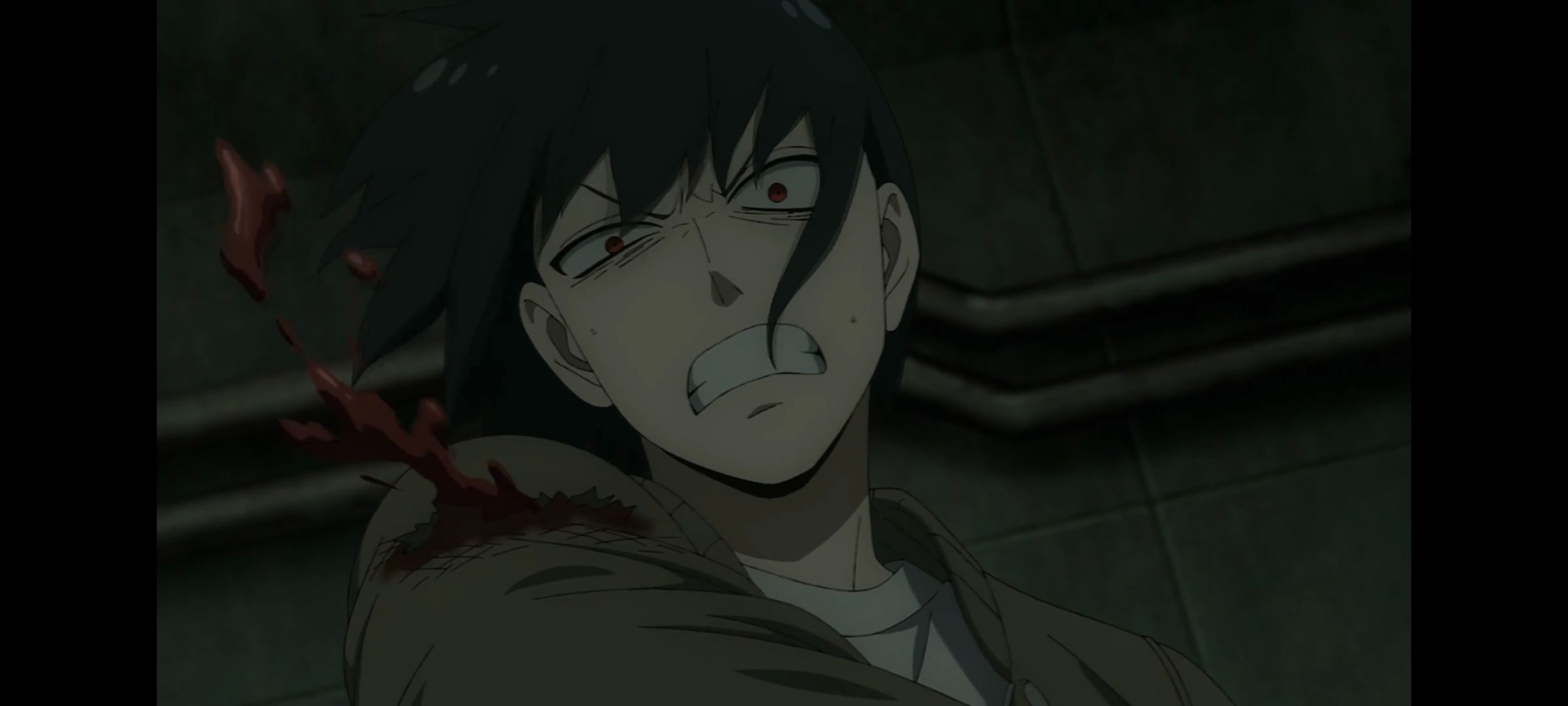 间谍过家家,SPYFAMILY,动画,动漫,番剧,ACG