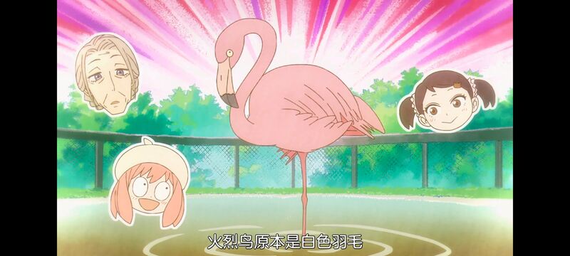 间谍过家家,SPYFAMILY,动画,动漫,番剧,ACG