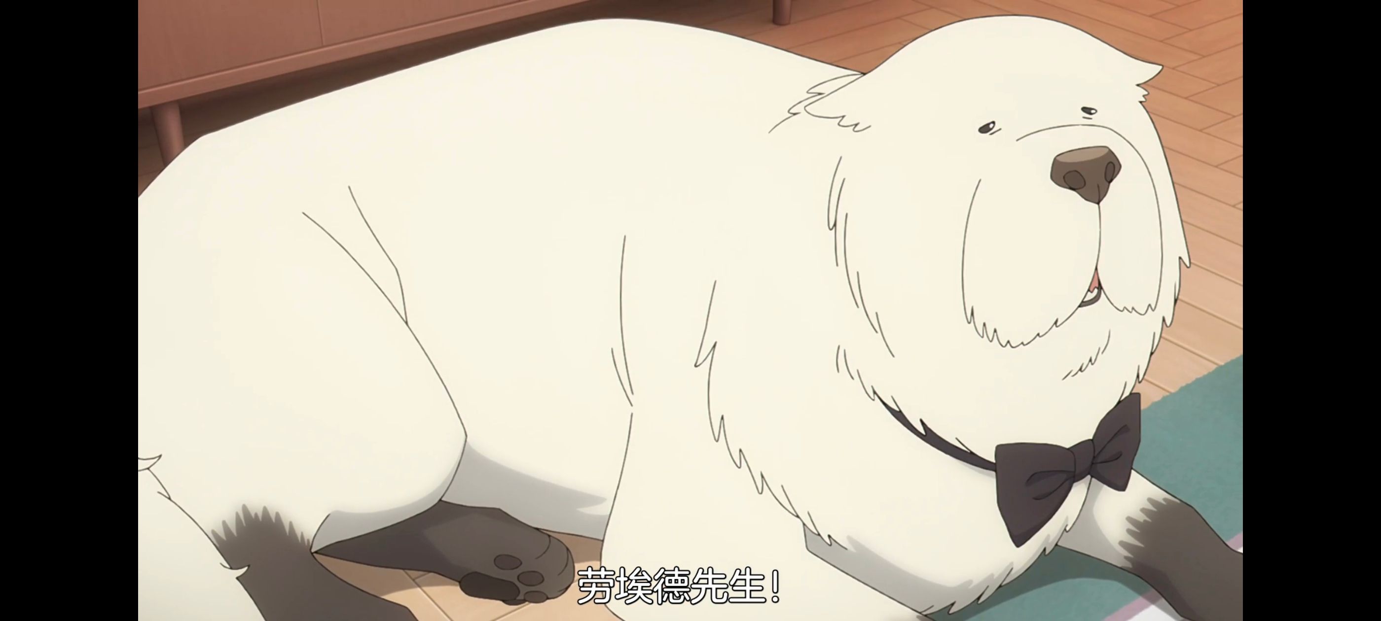 间谍过家家,SPYFAMILY,动画,动漫,番剧,ACG