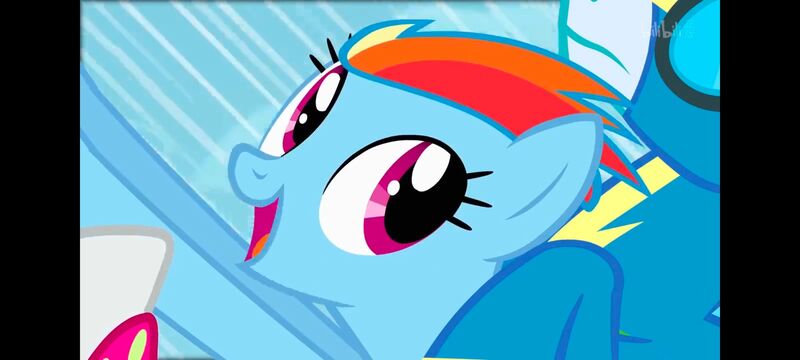 小马宝莉,小马宝莉友谊魔法,彩虹小马,我的小马驹,动画,动漫,番剧,ACG