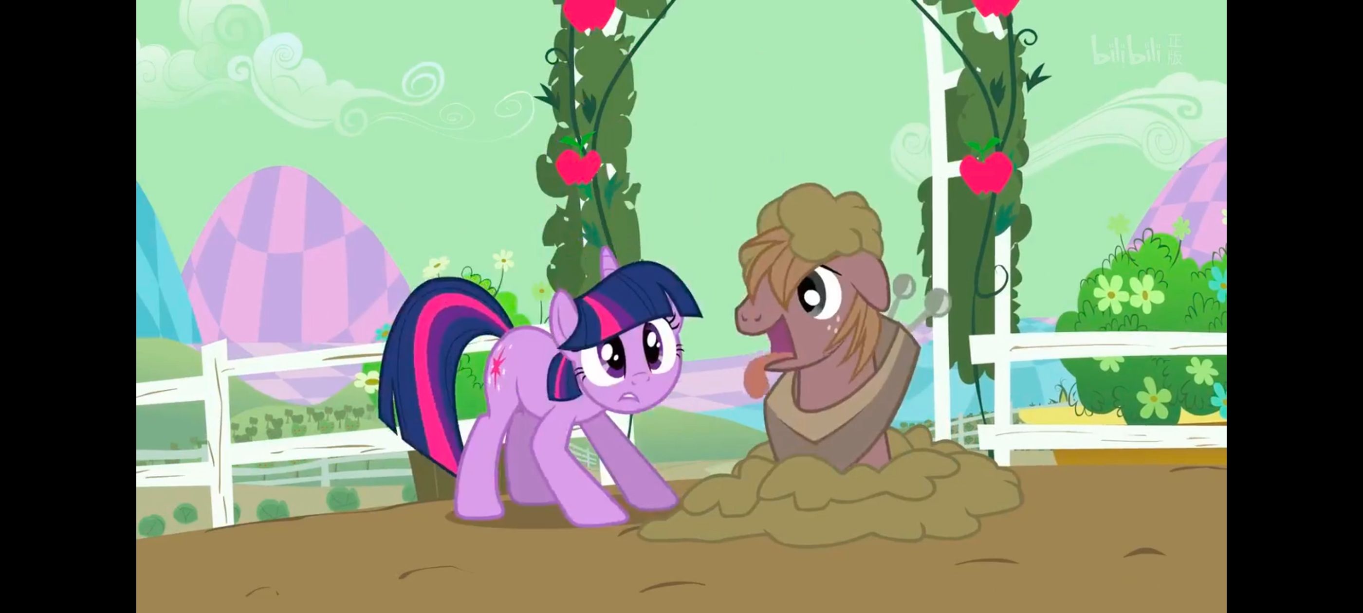 小马宝莉,彩虹小马,我的小马驹,小马宝莉友谊魔法,动漫,动画,番剧,ACG