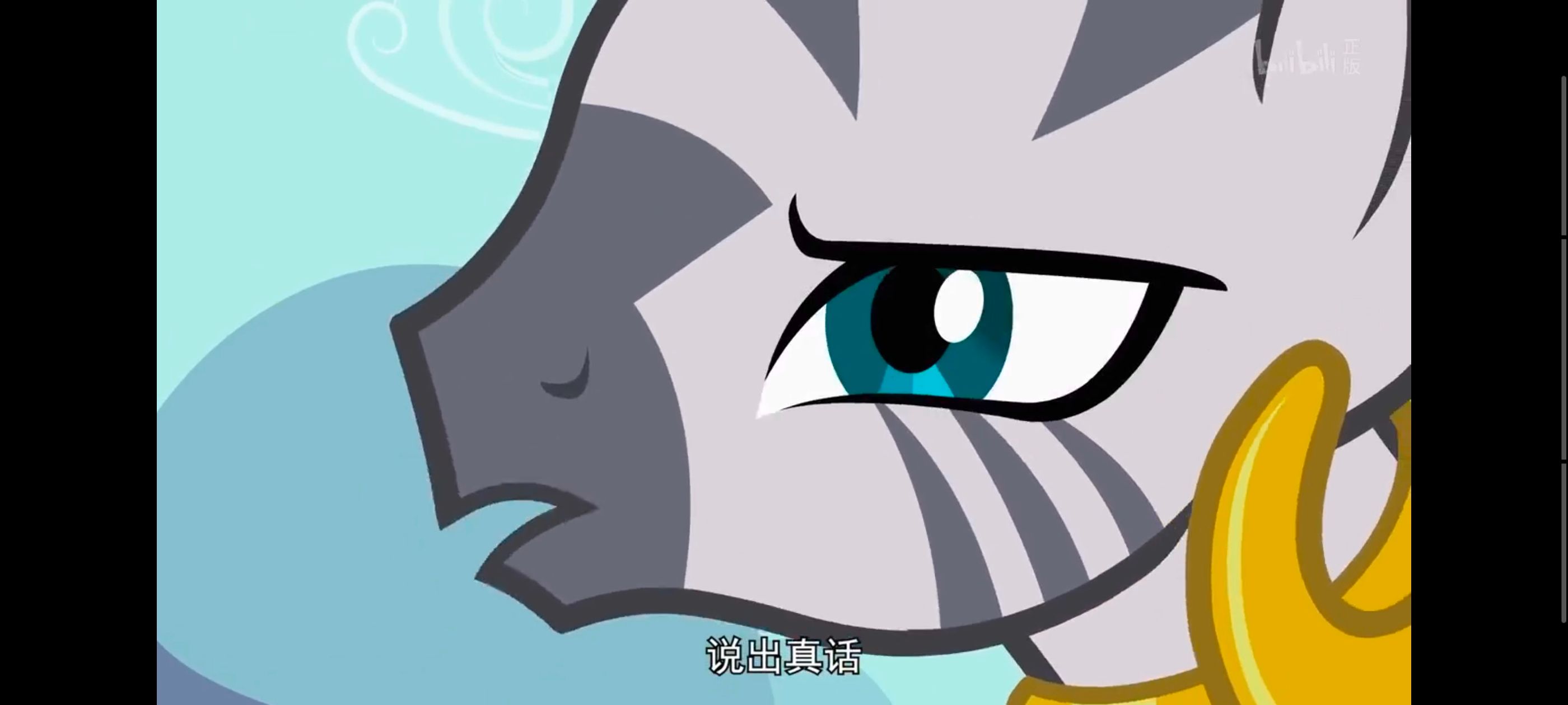 小马宝莉,彩虹小马,我的小马驹,动漫,动画,番剧,ACG