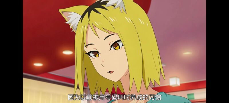 尼古喵喵,雅尼猫,动画,动漫,番剧,日漫,二次元,ACG