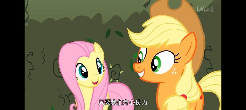 小马宝莉,小马宝莉友谊魔法,彩虹小马,我的小马驹,动画,动漫,番剧,ACG