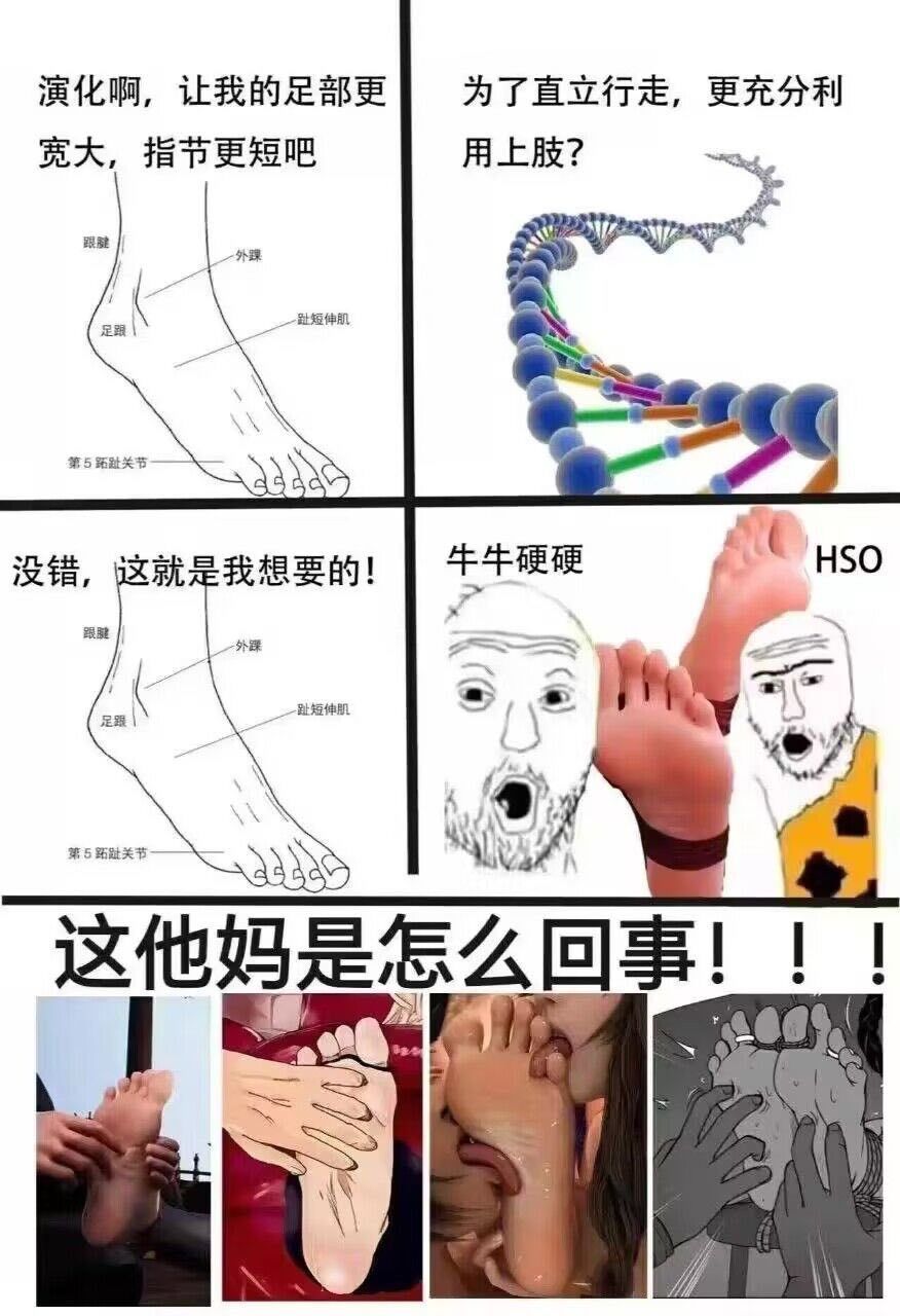 /static/e2590b1986f39ef88abdbc0841e8c171d234758c3cd1d3304bc6fdb789239fb2.jpg