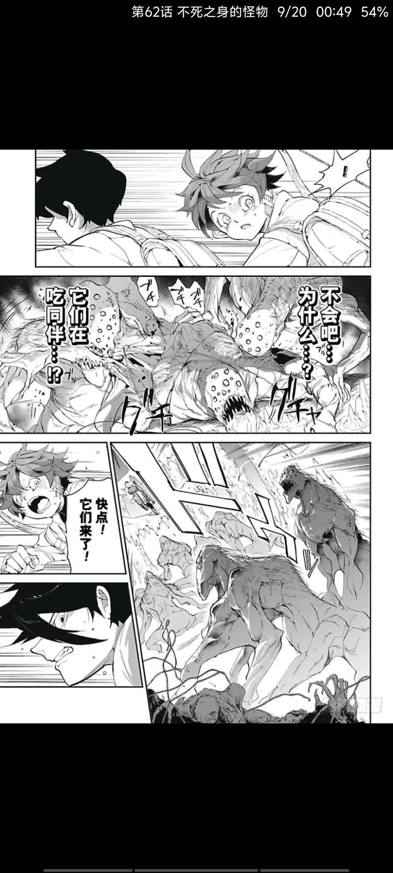 约定的梦幻岛,动漫,漫画,ACG