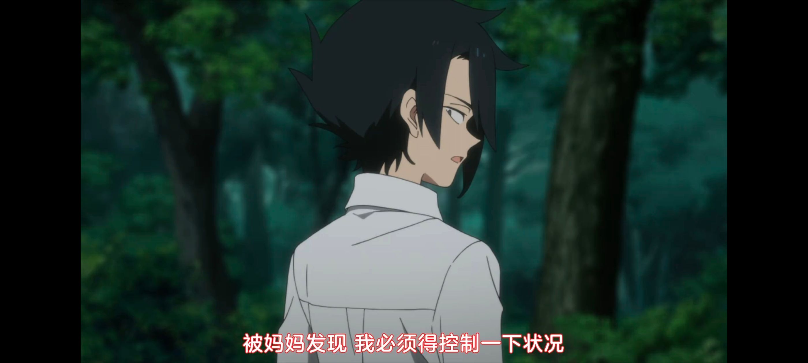 约定的梦幻岛,动画,动漫,番剧,ACG