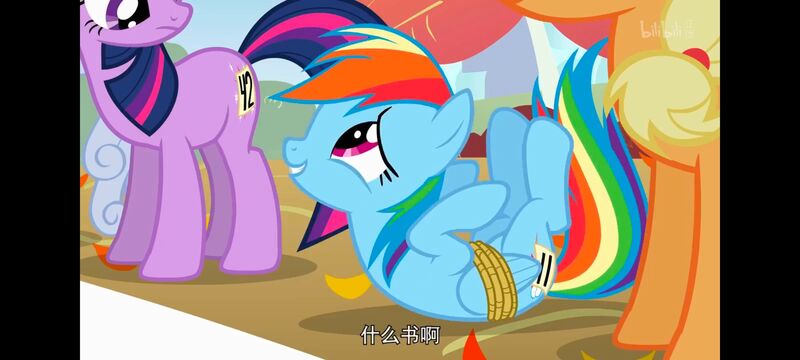 小马宝莉,小马宝莉友谊魔法,彩虹小马,我的小马驹,动画,动漫,番剧,ACG