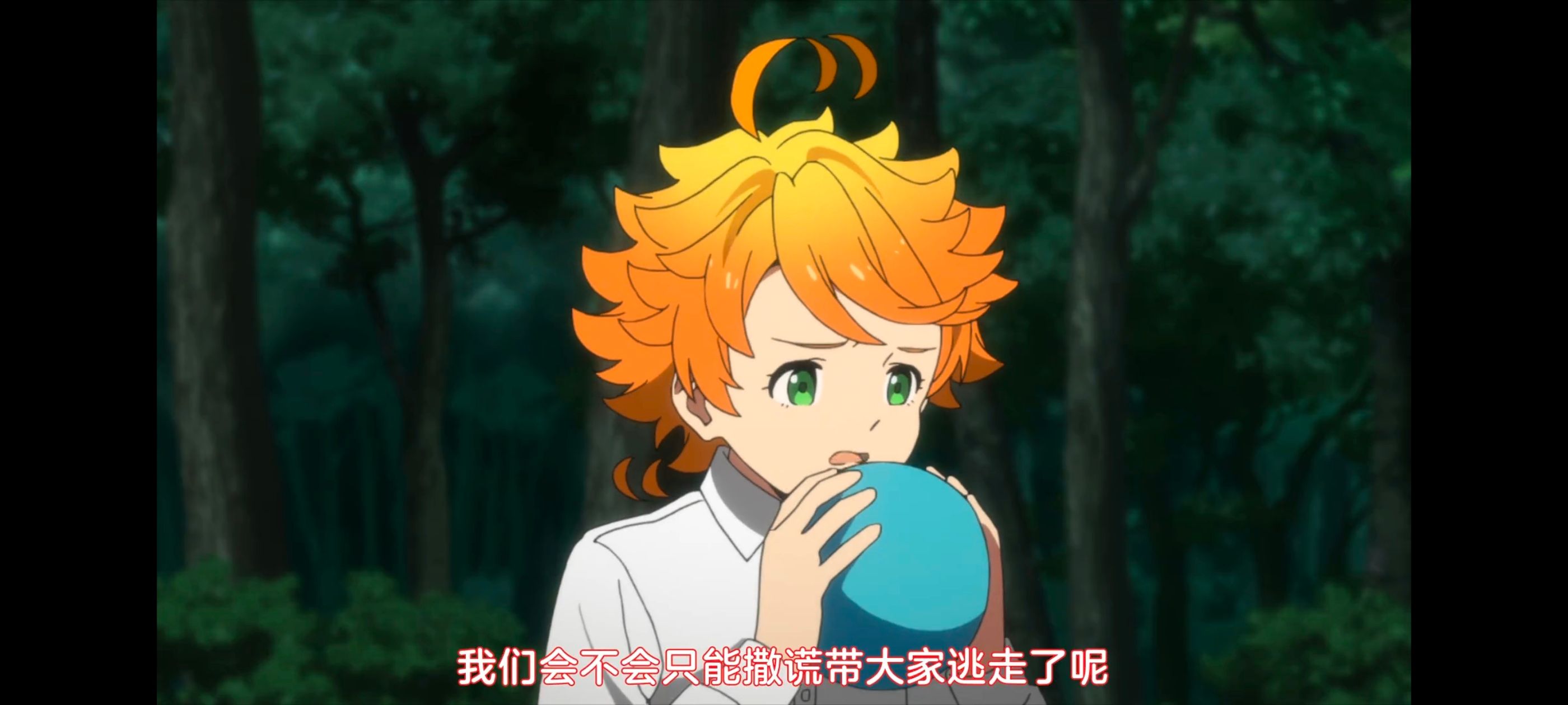 约定的梦幻岛,动画,动漫,番剧,ACG