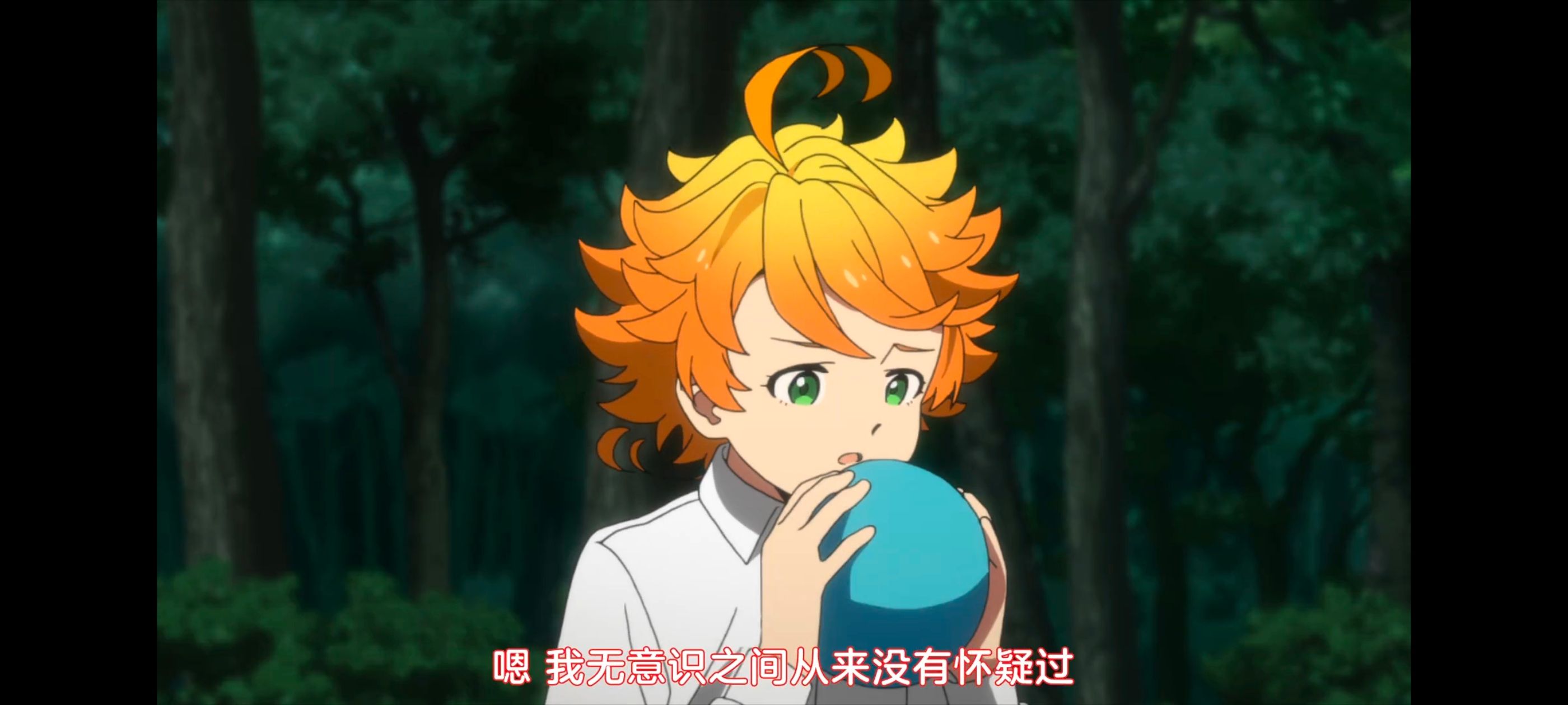 约定的梦幻岛,动画,动漫,番剧,ACG