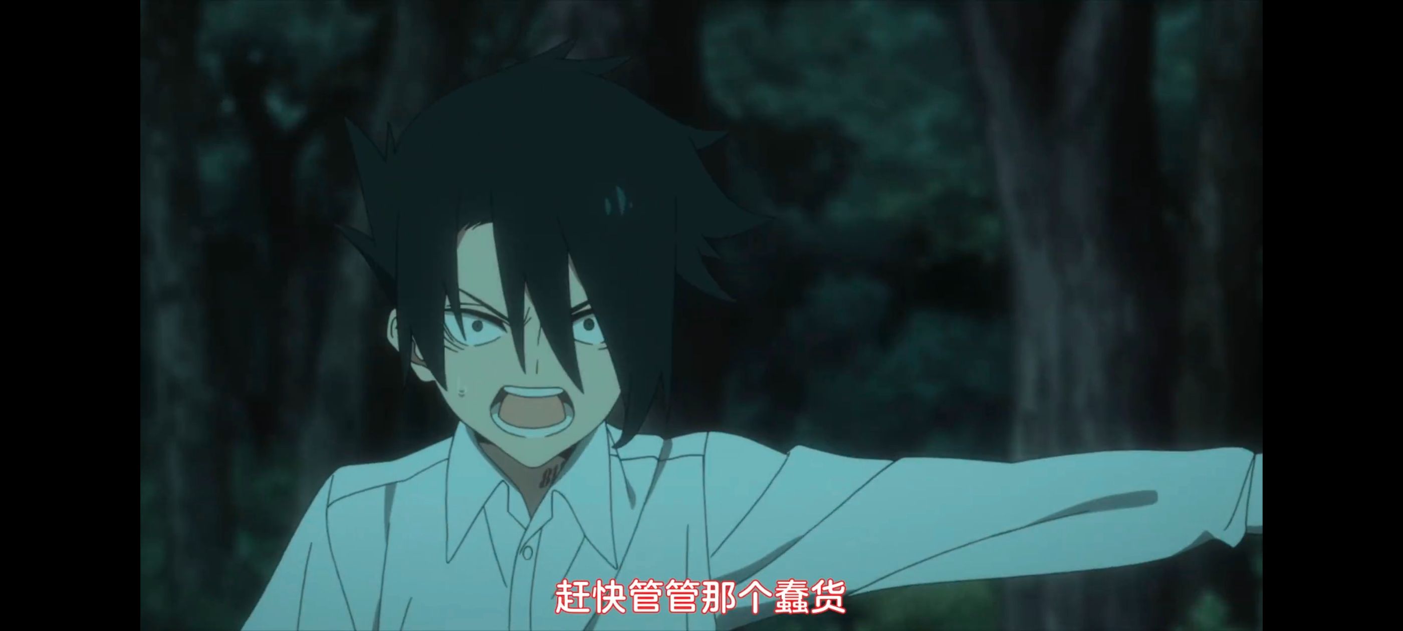 约定的梦幻岛,动画,动漫,番剧,ACG