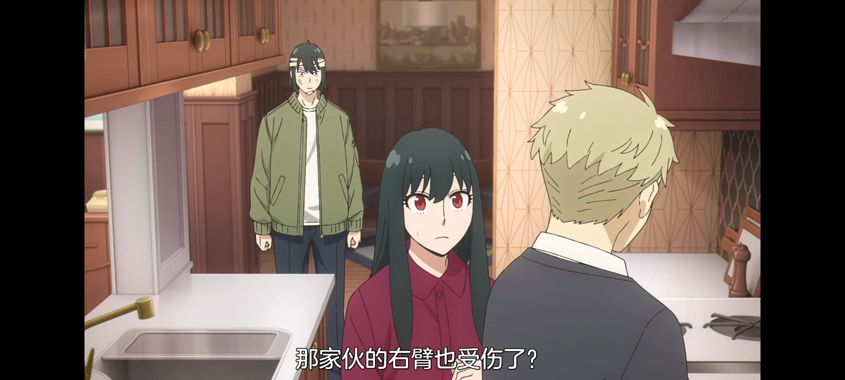 间谍过家家,SPYFAMILY,动画,动漫,番剧,ACG