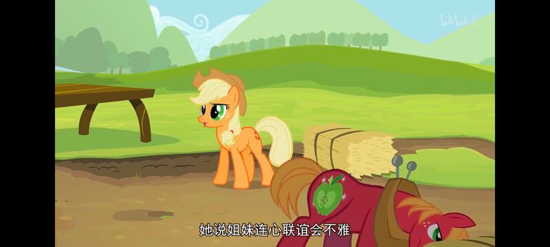 小马宝莉,小马宝莉友谊魔法,彩虹小马,我的小马驹,动画,动漫,番剧,ACG
