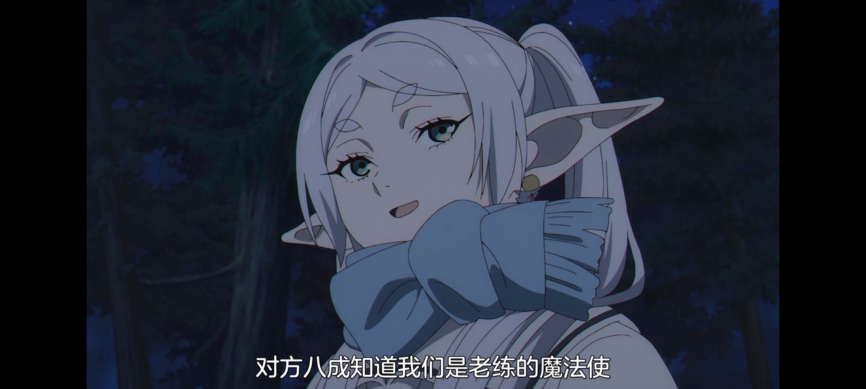 葬送的芙莉莲,动画,动漫,番剧,二次元,ACG