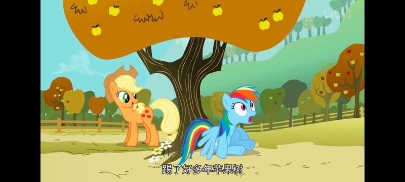 小马宝莉,小马宝莉友谊魔法,彩虹小马,我的小马驹,动画,动漫,番剧,ACG