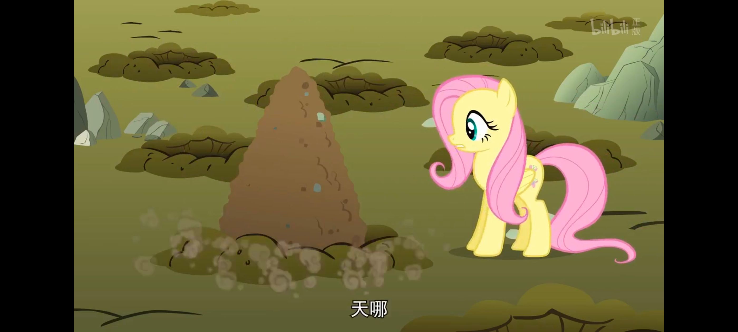 彩虹小马,小马宝莉,我的小马驹,小马宝莉友谊魔法,动画,动漫,番剧,ACG