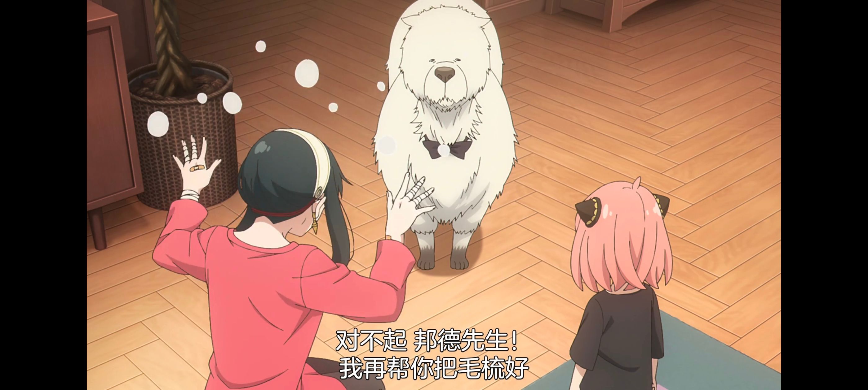 间谍过家家,SPYFAMILY,动画,动漫,番剧,ACG