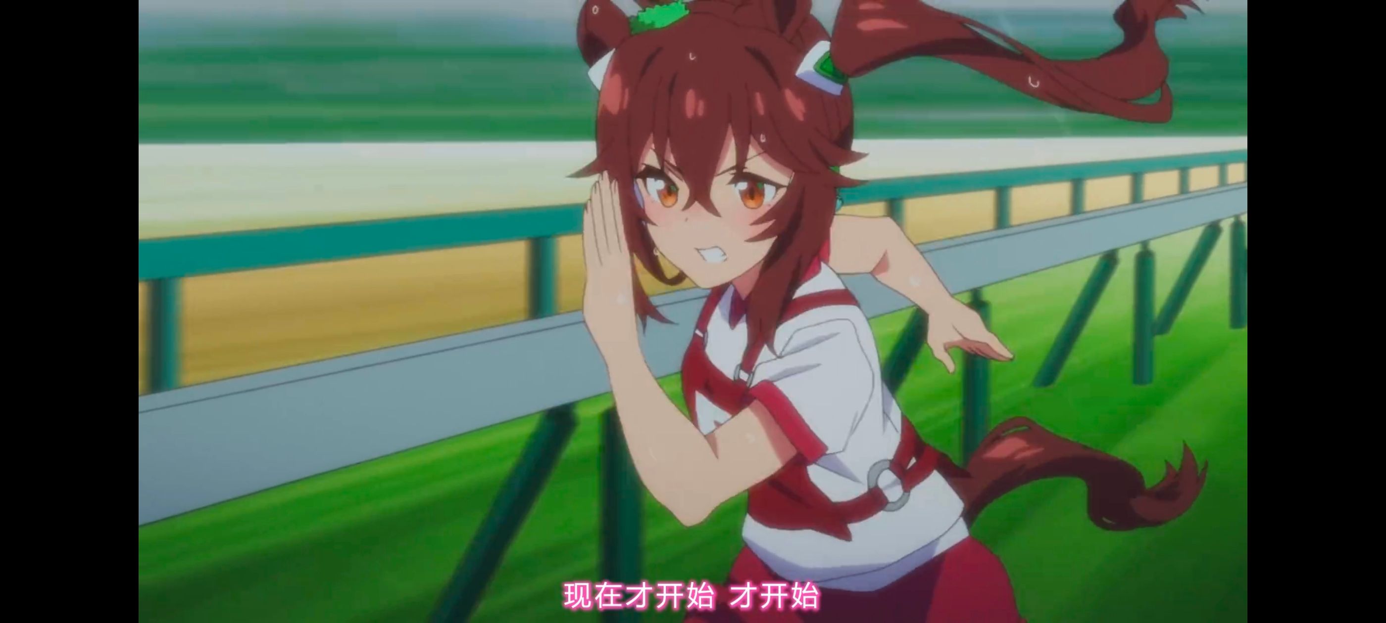 赛马娘,赛马娘PrettyDreby,赛马娘第二季,动画,动漫,番剧,ACG