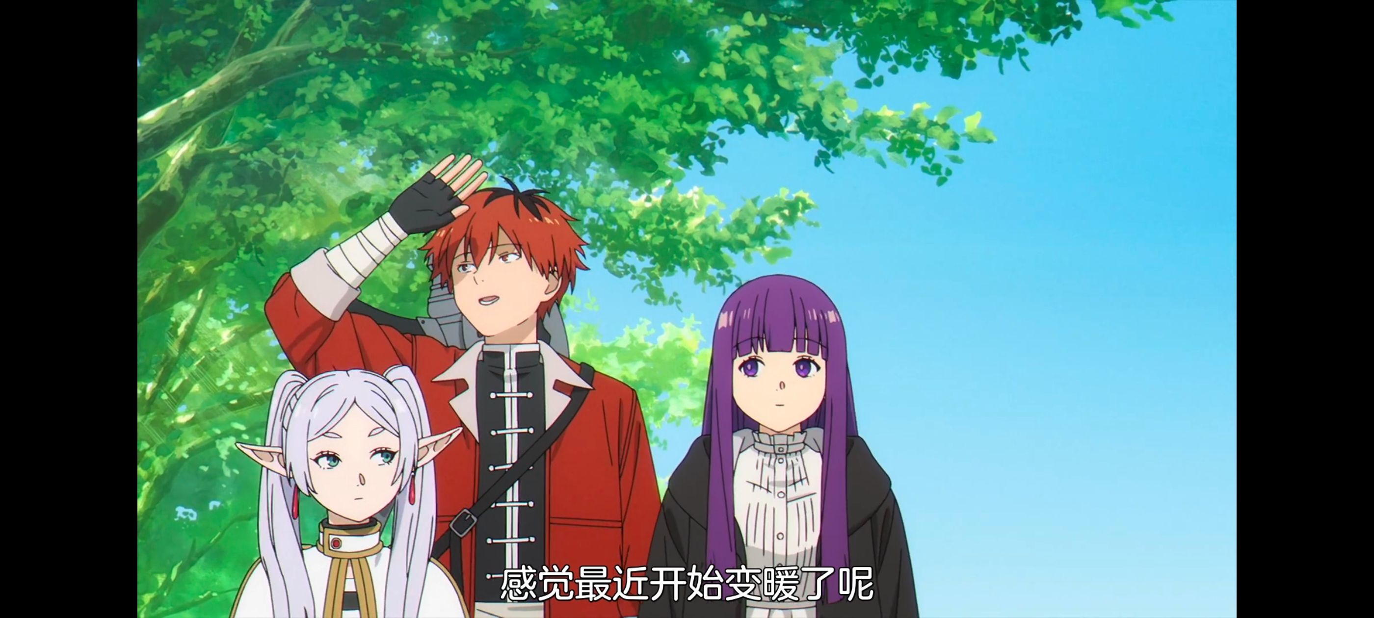 葬送的芙莉莲,动画,动漫,番剧,ACG