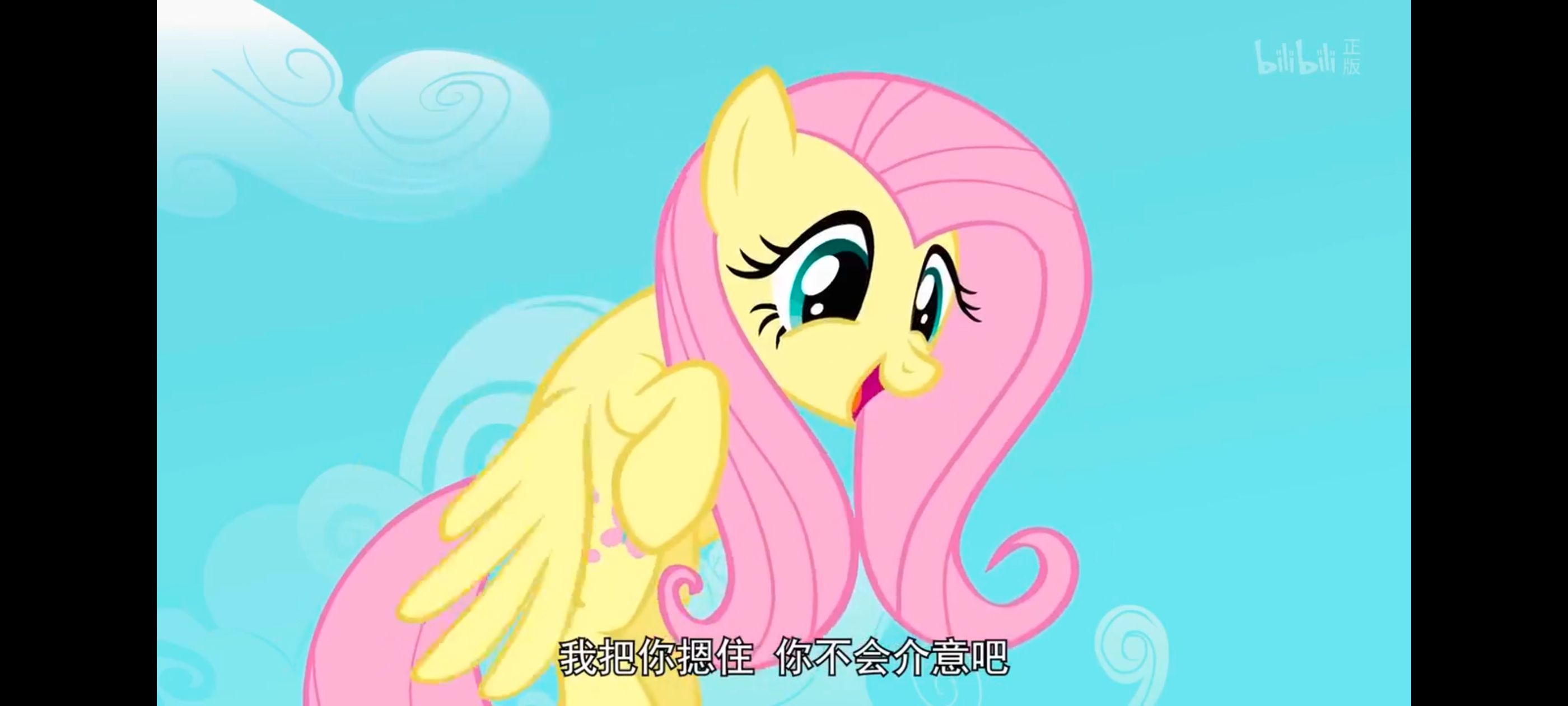 小马宝莉,彩虹小马,我的小马驹,小马宝莉友谊魔法,动漫,动画,番剧,ACG