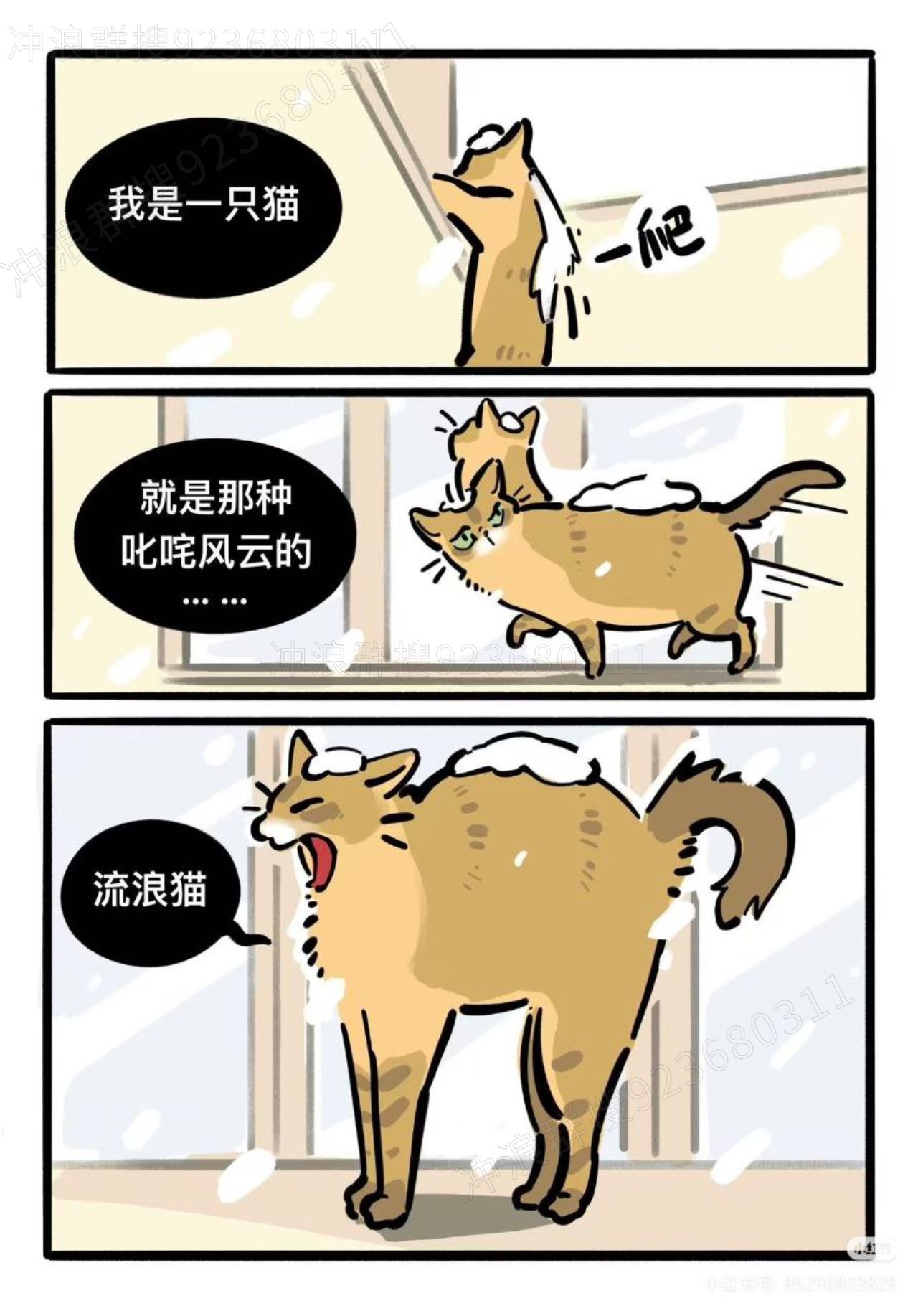 猫,故事
