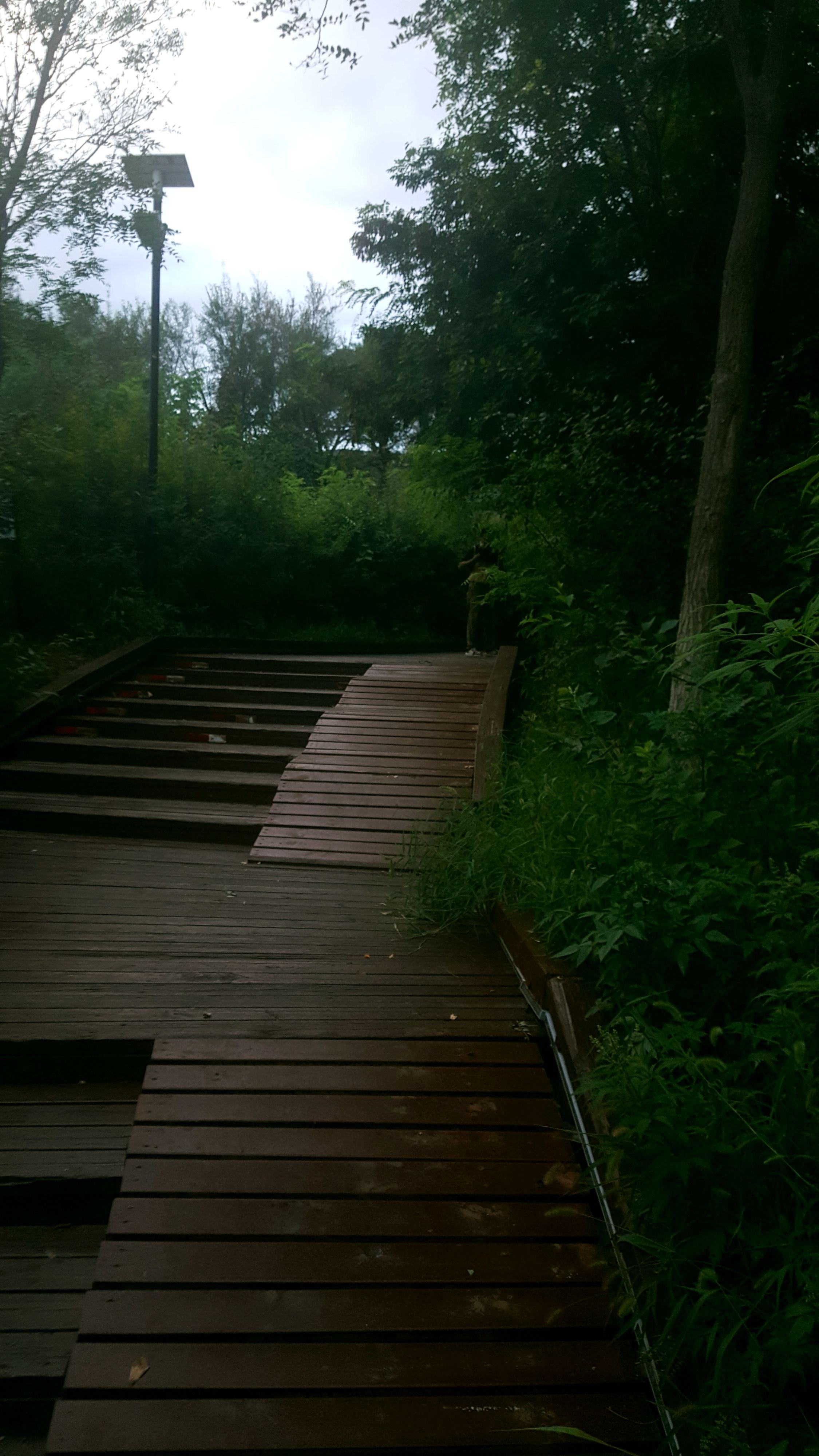 图图小淘气(美图)→