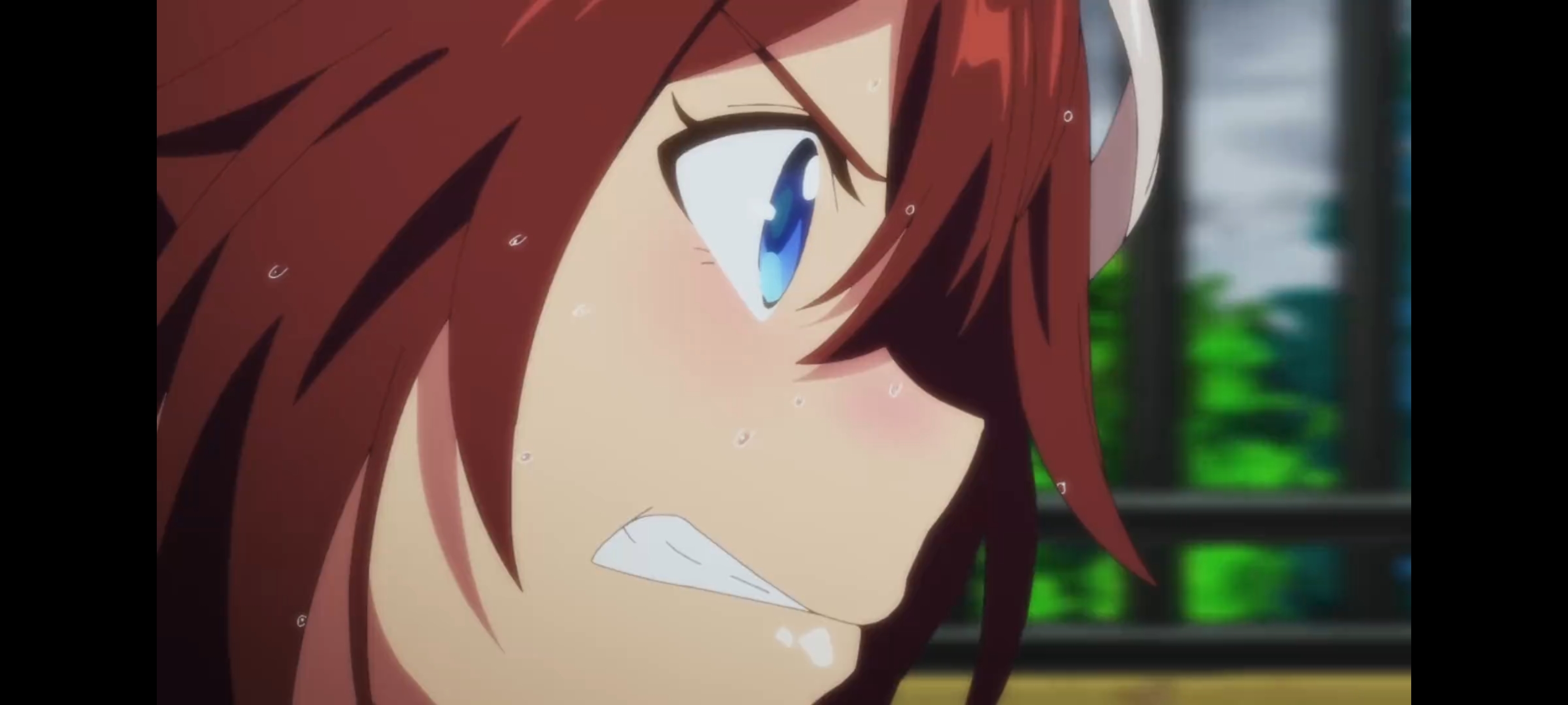 赛马娘,赛马娘第二季,赛马娘PrettyDerby,动画,动漫,番剧,二次元,ACG